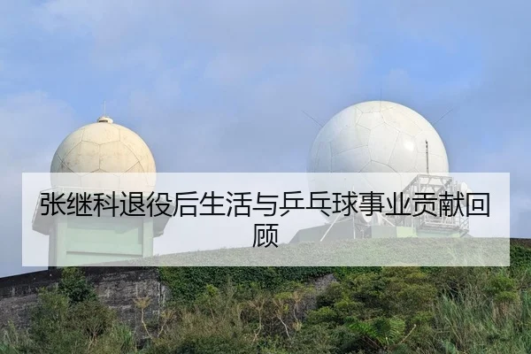 张继科退役后生活与乒乓球事业贡献回顾